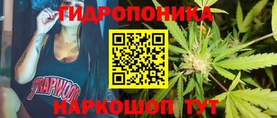 jwh Кандалакша
